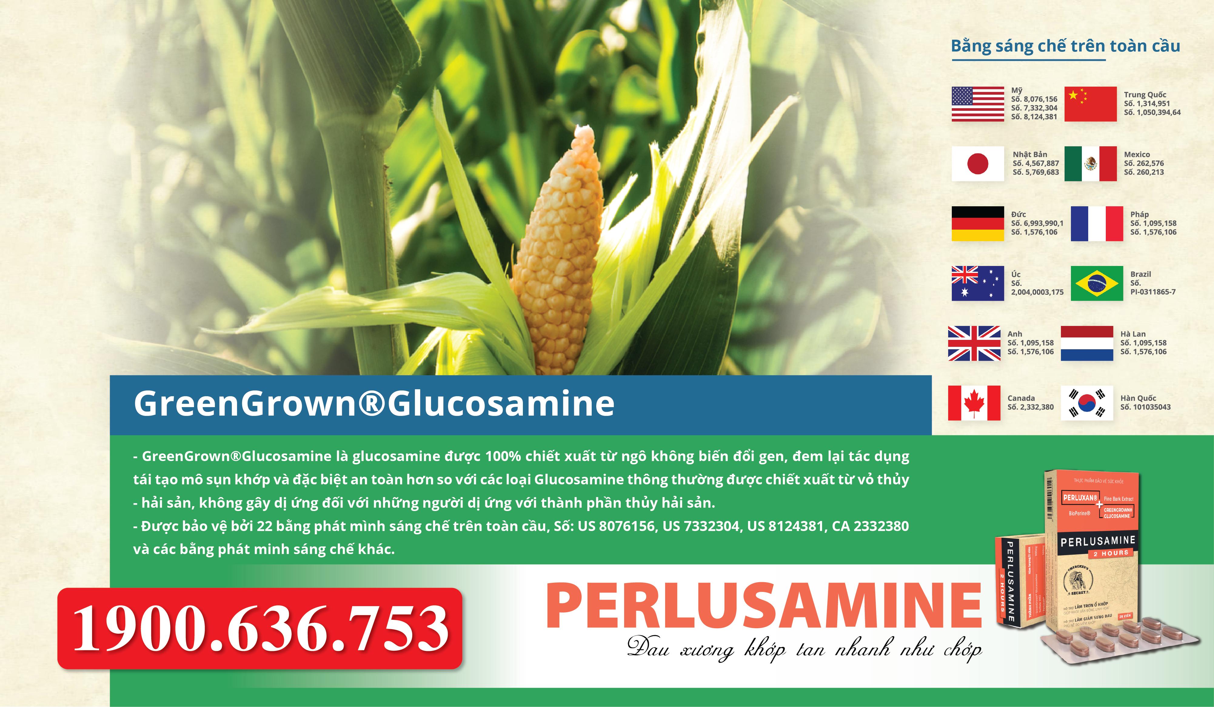 Greengrown Glucosamine – Làm chậm quá trình thoái hóa khớp